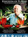 植物王國