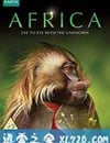 BBC：非洲