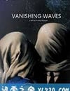 消失的浪潮
