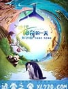 地球：神奇的一天