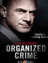 法律與秩序：組織犯罪 第一季