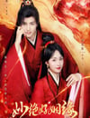 2024年國産大陸電視劇《妙絕好姻緣》全18集
