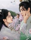 2024年國産大陸電視劇《惜花芷》全40集