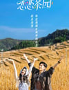 2024年國産大陸短劇《戀戀茶園》全24集