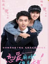 2024年國産大陸電視劇《戀愛麻煩，但是甜》全24集