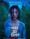 2024年韓國電視劇《無聲蛙鳴》全08集