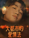 2024年韓國電視劇《大都市愛情法》全8集