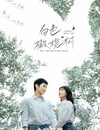 2025年國産大陸電視劇《白色橄榄樹》全38集