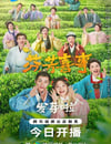 2025年國産大陸電視劇《芬芳喜事》連載至32