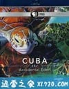 古巴:意外的伊甸园 Nature Cuba: The Accidental Eden (2010)