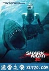 鲨鱼惊魂夜 Shark Night 3D (2011)