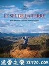地球之盐 The Salt of the Earth (2014)