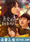 亲爱的新年好 (2019)