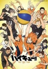 2020年日本动漫《排球少年 第四季 Part.2》全25集