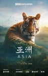 2024年英国电视剧《亚洲》全7集