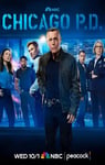 2025年美国电视剧《芝加哥警署 第十三季》连载至12