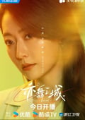 2025年國産大陸電視劇《亦舞之城》全28集