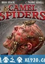 駱駝蜘蛛