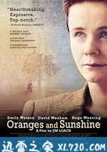 橙子與陽光