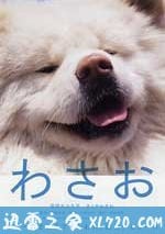 秋田犬蓬夫
