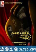 石榴樹上結櫻桃