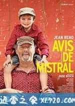 普羅旺斯的夏天