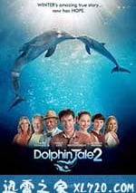 海豚的故事2