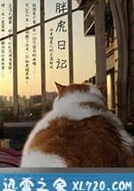 胖虎日記