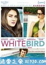 暴風雪中的白鳥