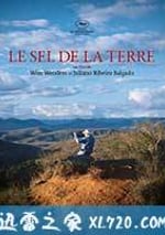 地球之鹽