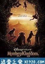 猴子王國