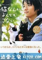 為什麼貓都叫不來