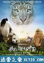 我們誕生在中國