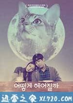 如何與我的貓分手