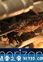 地平線系列: 綠色畜牧