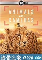 假如動物會攝影