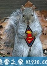 超級松鼠