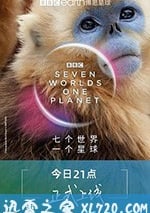 七個世界，一個星球