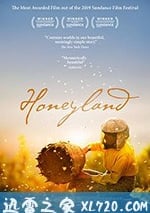 蜂蜜之地