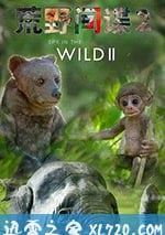 荒野間諜 第二季