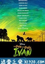 獨一無二的伊萬