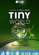小小世界
