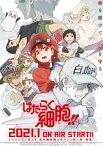 工作細胞 第二季