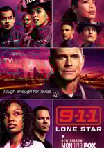 緊急呼救：孤星 第二季