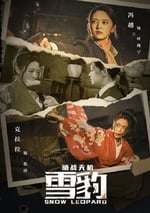 雪豹之暗戰天機