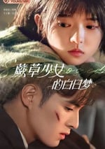 蕨草少女的白日夢