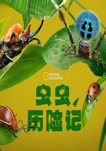 2024年美國紀錄片《蟲蟲曆險記》全5集
