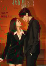 2024年國産大陸電視劇《我們的翻譯官》全36集