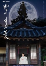 2024年韓國電視劇《夜晚開的花》全12集