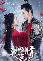 2024年國産大陸電視劇《不知劇情也無妨》全18集